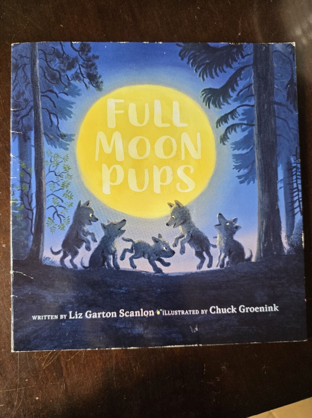 Full Moon Pups Illustrated Children's Book